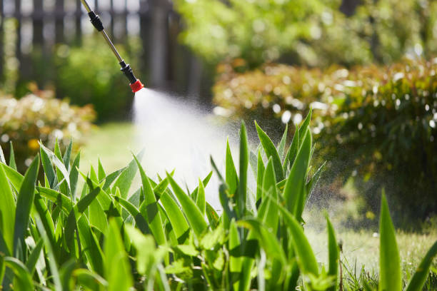 24/7 Emergency Ant Control experts in Villas, FL