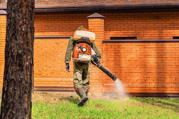 Trusted Ant Control service in Villas, FL - Nex Pest Control